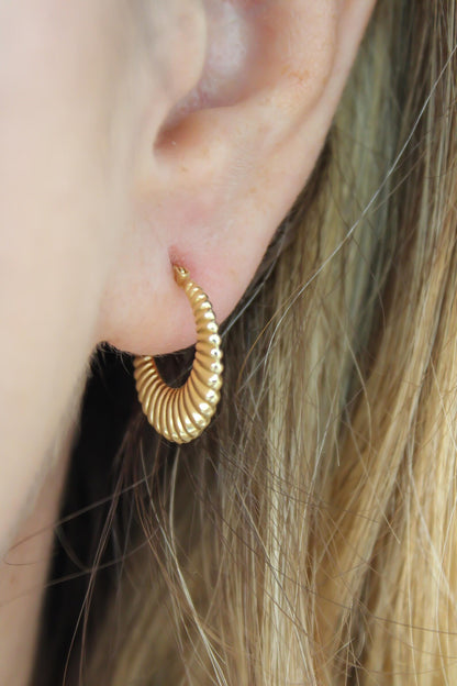 Aretes Retro Gold puestos