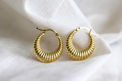 Aretes Argolla Esencial Texturizada · Oro 14k